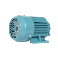 Single Phase 220 V Induction Motor for Customized