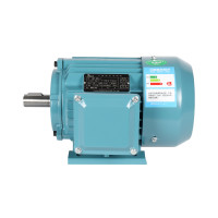 Single Phase 220 V Induction Motor for Customized