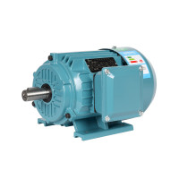 Single Phase 220 V Induction Motor for Customized