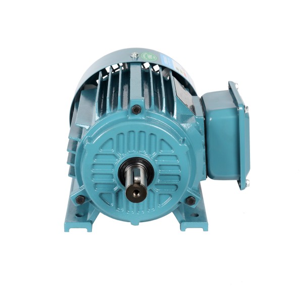 Single Phase 220 V Induction Motor for Customized