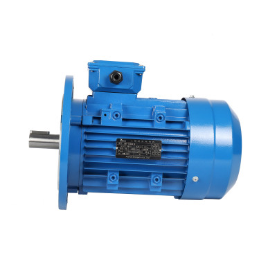 Single Phase 220 V Induction Motor for Customized