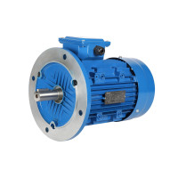 Single Phase 220 V Induction Motor for Customized
