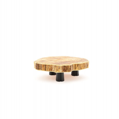 F-CJ016A Couchtisch