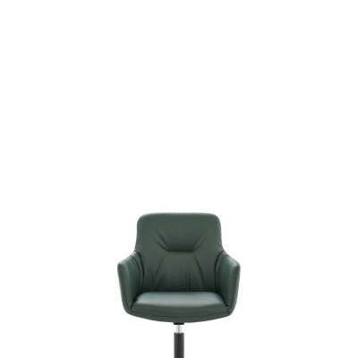 D-CY012 Dining chair