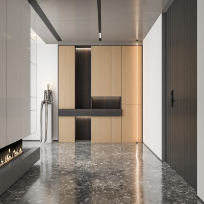 LS-DZXG001 Shoes cabinet