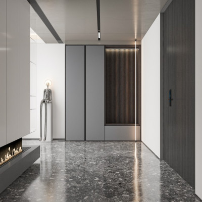 LS-DZXG002 Shoes cabinet