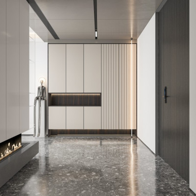 LS-DZXG003 Shoes cabinet