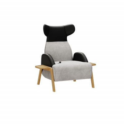 LFY118 Sessel