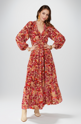 Lina Velvet Burnout Maxi Dress