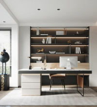 Custom Bookshelves & Bookcases for Modern Homes