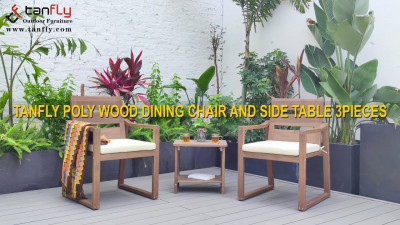 TANFLY POLY WOOD ОБЕДЕННЫЙ СТУЛ И ПРИСТАВНОЙ СТОЛ, 3 ШТ.
