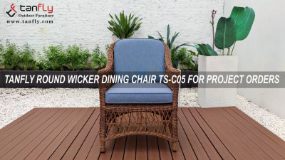 Chaise de salle à manger ronde en osier TANFLY TS-C05 pour les commandes de projets