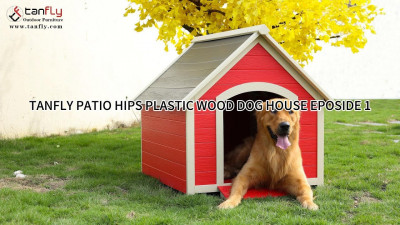 TANFLY PATIO HANCHES PLASTIQUE BOIS MAISON POUR CHIEN EPOSIDE 1